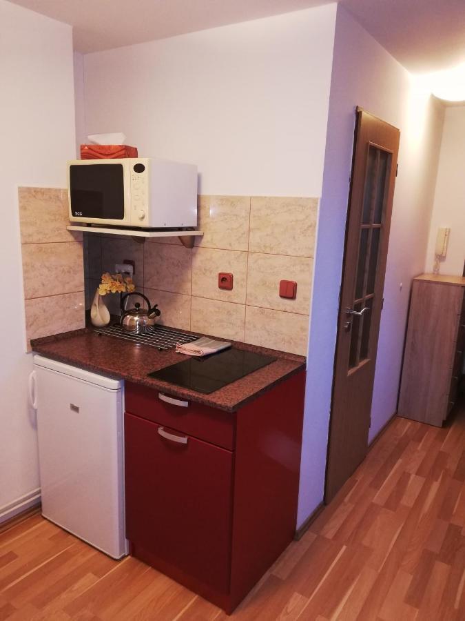 Pension u Lašanů Třešť Extérieur photo